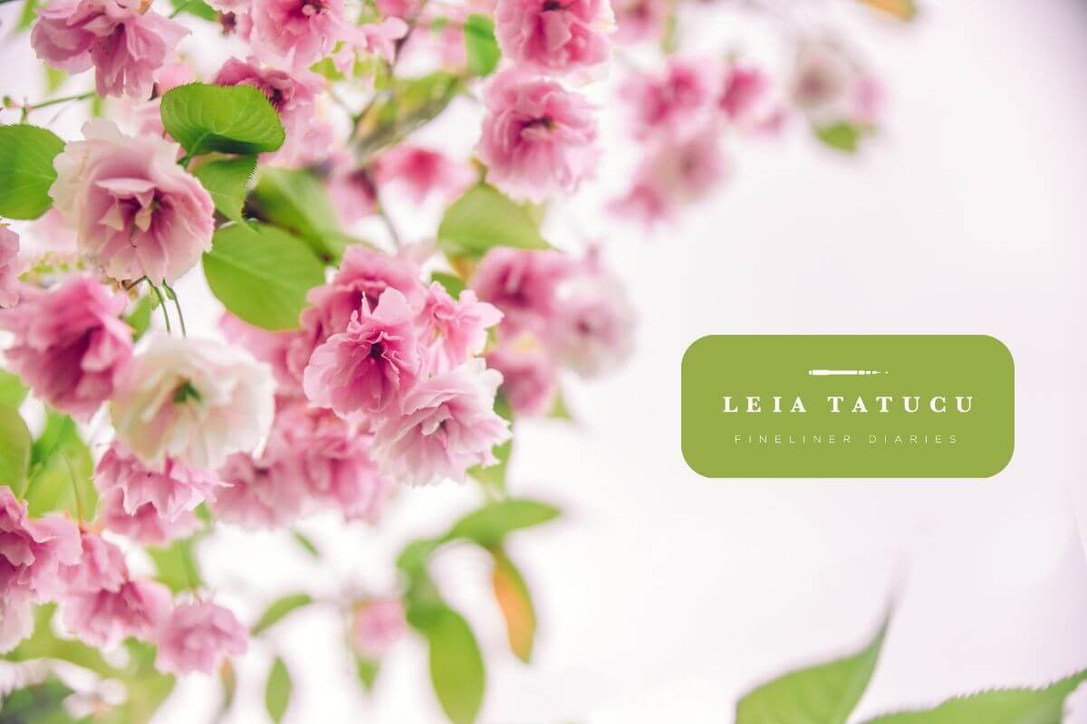 Spring Blossoming at Fineliner Diaries: A New Chapter in Our Artistic Voyage