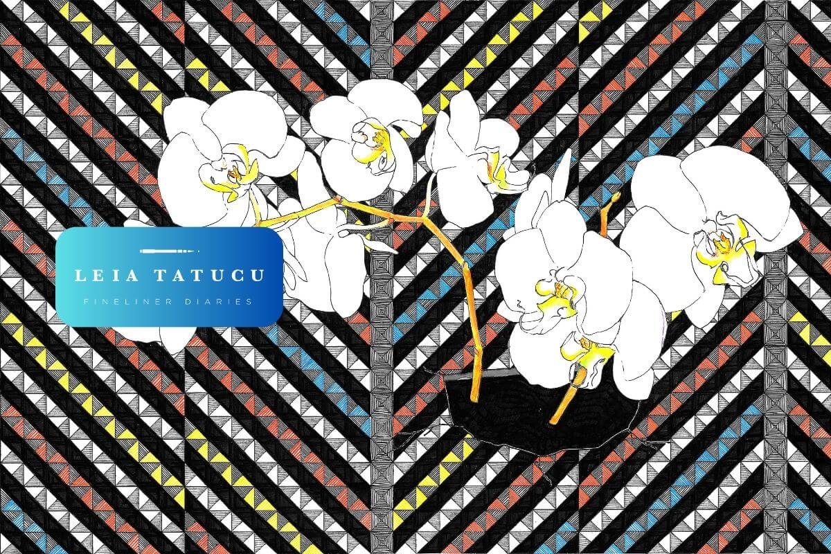 My First Solo Exhibition: Reflections from the 2019 Quinquennial Report