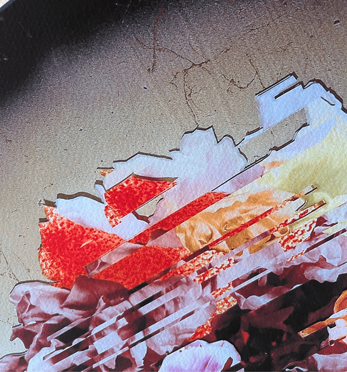 Limited Edition Fine Art Prints featuring vibrant floral elements with abstract design details.