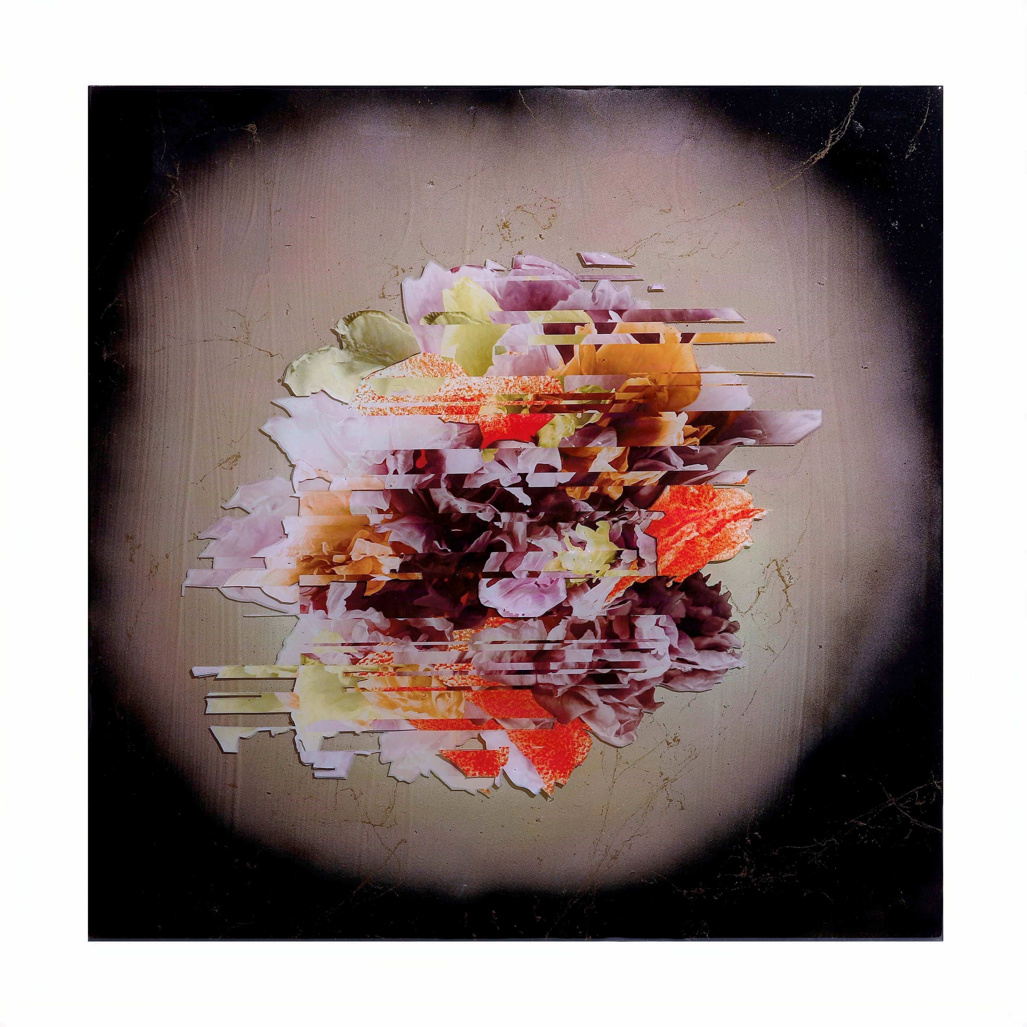 Peony Glitch Limited Edition Fine Art Print