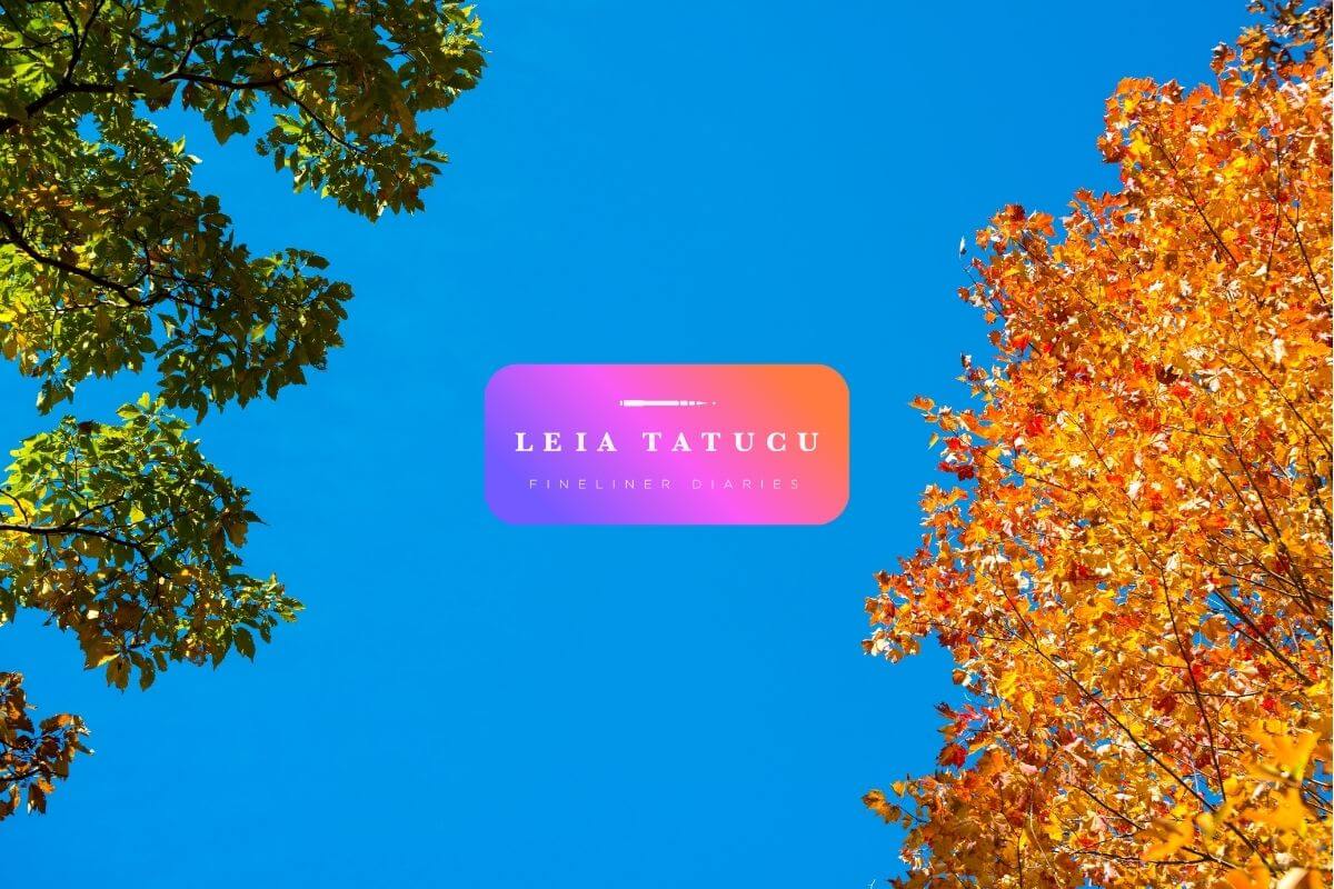 Endings and Beginnings: Capturing the Magic of Seasonal Change